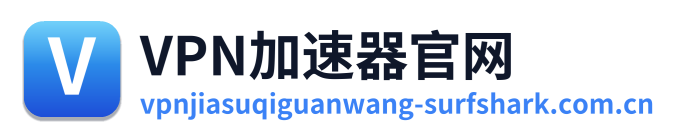 VPN加速器官网 Logo